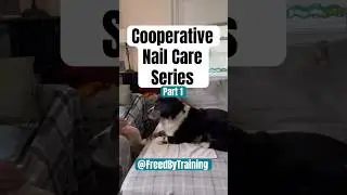 Cooperative Nail Trim (Part 1)