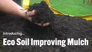 Introducing Eco Soil Improving Mulch
