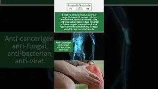 Pau D'Arco - Pentru ce afectiuni este recomandat