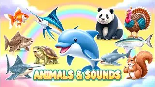 Learn 30 Sea Animals, Bugs and Insects 🌊 Fun Facts for Kids 💖Telescope goldfish, Sailfish, Panda