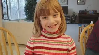Playground honors legacy of girl lost in 2015 tree accident