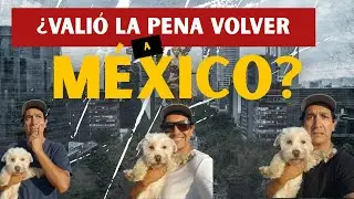 No todo fue perfecto lo que nadie te dice de volver a tu país