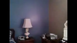 Amazing orbs respond to my cat and music by Libana.