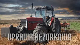 Uprawa bezorkowa po koniczynie! Massey Ferguson 3125 & Agro lift