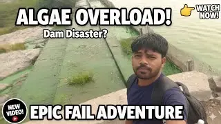 Village camping vlog 
