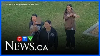5 'persons of interest' identified in Edmonton playground arson