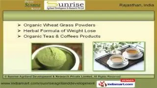 Organic Products by Sunrise Agriland Development & Research Private Limited, Jaipur