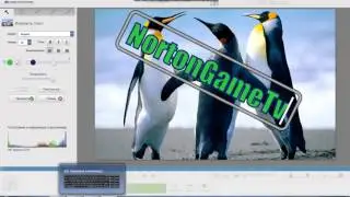 Обзор программ№1-Picasa 3