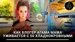 Мать драконов: как блогер Агама Мама уживается с 50 хладнокровными