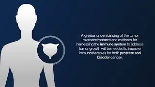 The Tumor Microenvironment and Immunotherapy in Prostate and Bladder Cancer