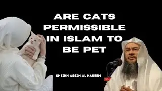Islamic Perspective on Owning Cats: Permissible or Prohibited  | Sheikh Assim Al Hakeem