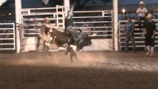 L & T Rodeo Productions Miniature Bucking Bulls