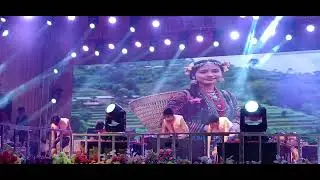 Very nice groupe dance performance in many states cultural song in India, Golden Jublee  celebrate .