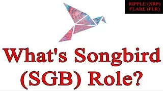 What's Songbird SGB Role? Flare Networks - Hugo Philion Uphold Interview