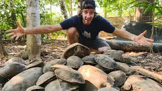 Thailand VLOG 8: House of 1000 Turtles!!!!!