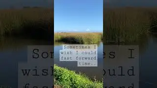 No control #scenery #quotesaboutlife #yt #feedshorts #letgo #bekind #worthy #happy #mindset #quotes