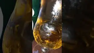 BIRRA GELATA