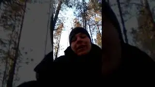 Прикол