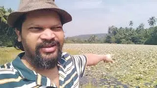 Lotus Farm Vengurla Nhaichi aad