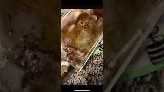 how to remove oven door and glass on GE PROFILE OVEN TO CLEAN