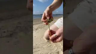 I Used a Magnet in the Desert and Found Strange Gold Orbs!