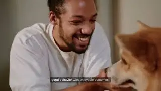 Positive Dog Training