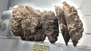 Burl Power! Woodturning a Beautiful Mallee from the Biggest UK Delivery