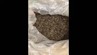 Types of Vietnamese Black Tea #hientraviet #0979149886