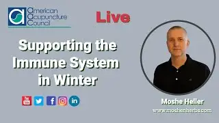 Supporting the Immune System in Winter