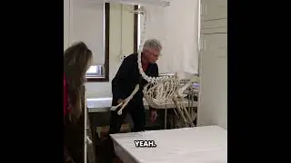 🦤 Have you ever seen an OSTRICH skeleton up close?!