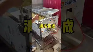 多功能清洗去皮机#food #熱門 #美食 #去皮机