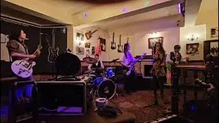 Beggin' (Live at The Crown 13/11/24) - Them Wicked Freaks