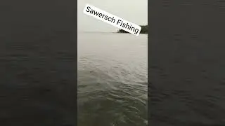 Время морской форели💪