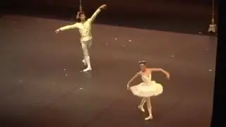 Casse-noisette - Mathilde Froustey & Carlo di Lanno (1/4)