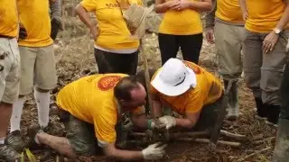 Viridian's 5,000 Trees of the Rainforest