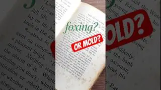 ОПАСНА ЛИ моя книга? (Лиса против плесени)
