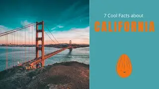 7 Cool Facts about California - Star Spangled Flags