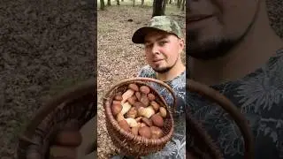 Młodziutkie, jędrne i piękne &ndash; usiatkowane z Wielkopolski w natarciu! 😄 Dobrze się to zapowiada! 🍄