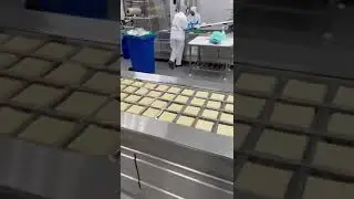 MK R530 Used Multivac Cheese Packaging