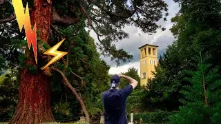 Blitz zerstört Mammutbaum I Fotografieren im Kurpark Gleichenberg