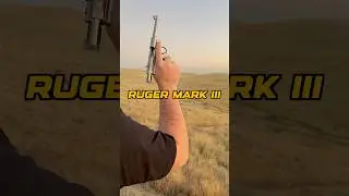 170-Yard Pistol IMPOSSIBLE SHOT! Ruger Mark III Hits 10&rdquo; Target
