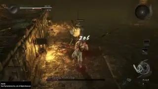 Nioh Level 1 No Damage Taken Challenge Boss #4 - Tachibana Muneshige