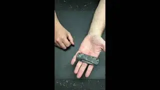 WE Knives Banter ~ Show to Scale