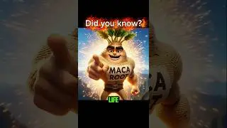 The Secret for Unlimited Energy! Maca Root! 🏔️⚡ #Curios365 #shorts