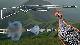 &iquest;Guineas Cimarronas Imposibles? Mira Lo Que Logra La BENELLI SUPER BLACK 3 En Cacer&iacute;a (RDX HUNTING)