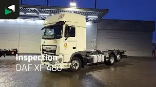 DAF XF 480 - 2022 - BAS World