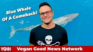 Blue Whale Of A Comeback! | VGNN - Vegan Good News Network Ep. 1