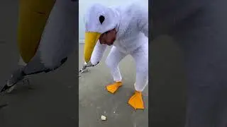 🪽🏖️ Pulled up dressed like a whole seabird