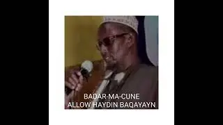 MAXAMUUD AXMAD XUSEEN ( badar ma cune ) GUUROOW : allow haydin baqayayn allow haydin booboobin.