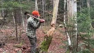 ОДИН ИНСТРУМЕНТ, ЧТОБЫ ПРАВИТЬ ВСЕМИ!!!! Trail Boss от Cold Steel!! #coldsteelknives